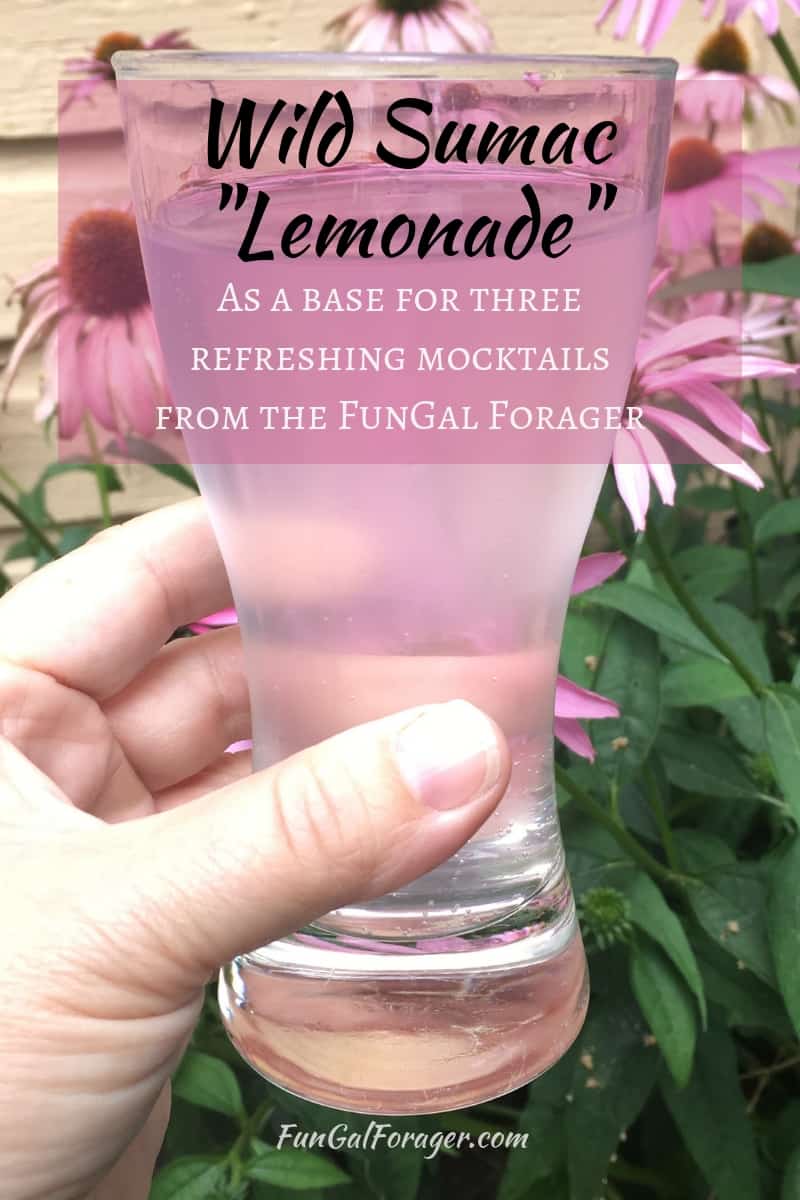hand holding a glass of pink sumac tea