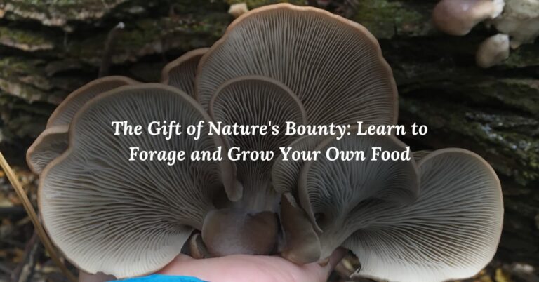 feature image of oyster mushrooms behind post titled The Gift of Nature's Bounty: Learn to Forage and Grow Your Own Food.